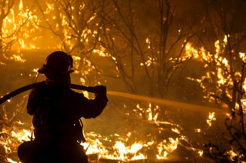 Firefighters battled on Thursday to douse a series of wildfires fueled by high winds