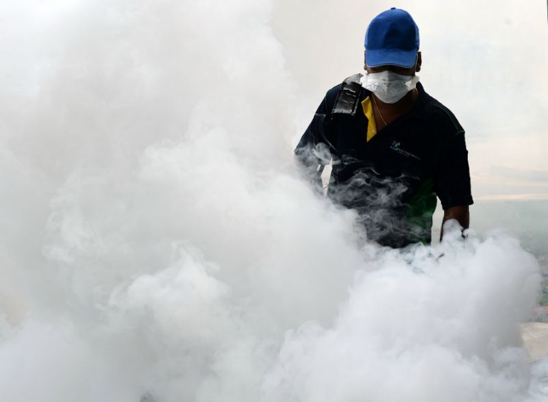 Zika, which is spread mainly by the Aedes mosquito, has been detected in 67 countries and territories including hard-hit Brazil