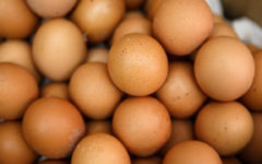 Scorching temperatures in China pushed up egg prices as hens are laying fewer
