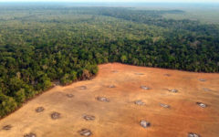 Brazil begins first operations to protect Amazon