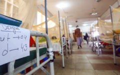 Bangladesh may witness massive dengue outbreak: DGHS