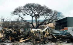 Hawaii revises down wildfire death toll