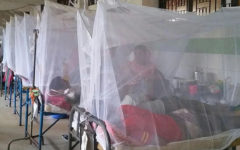 Dengue death toll crosses 1000-mark