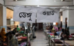 Dengue death toll crosses 1600-mark