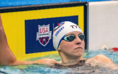 Ledecky rules 800 free again at the US Open