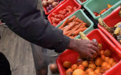 World food prices rise for first time in 7 months: FAO