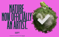 Nature joins music platforms for a conservation project