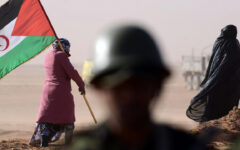 France backs Moroccan claim over disputed Western Sahara