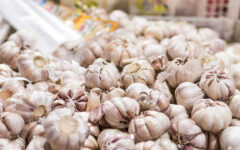 First time garlic import through Mongla Port