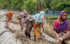 WFP Supports Recovery Efforts of Communities Affected by Cyclone Remal in Southern Bangladesh