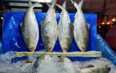 12 tonnes of Hilsa exported to India through Benapole port