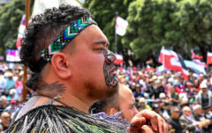 Tens of thousands march in New Zealand Maori rights protest