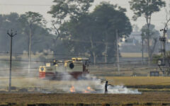 Illegal farm fires fuel Indian capital’s smog misery