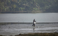 Rizwana to visit submerged Bhabodah area tomorrow 