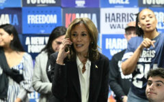 In the end, women did not save Harris at ballot box