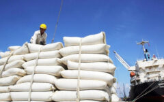 Bangladesh Government asks private sector to import 327,000MT rice by one month