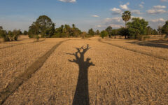 Met office predicts dry weather across country