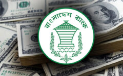 Gross forex reserves cross $26b: BB