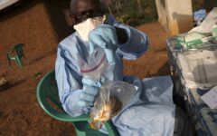 Nigeria launched an emergency response centre after recording 190 deaths from Lassa fever