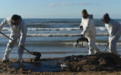 Russian scientists criticise oil spill cleanup