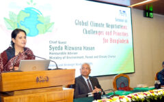 Govt to ensure optimum use of climate budget: Rizwana