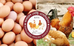 BPA to sell eggs, chicken at fair prices from Jan 12