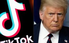 Donald Trump ordered a 75-day pause on enforcing a law to ban TikTok