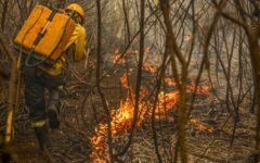 Wildfires in Brazil consumed a total area larger than all of Italy, monitor reports