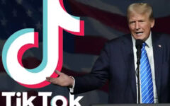 Trump gives TikTok 75-day grace period from US ban