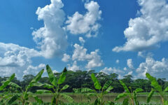 Met office forecasts dry weather over country 