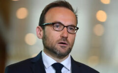 Australian Greens chief loses his own seat