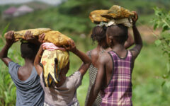 Despite progress, child labour still affects 138 million children globally – ILO, UNICEF