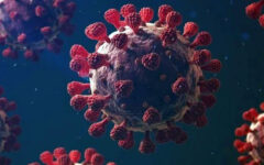 13 more Covid-19 cases reported in country