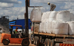 Zimbabwe sets lithium export ban