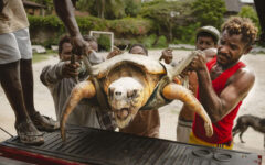 Kenya NGO saves turtles from nets, plastic and rising tides