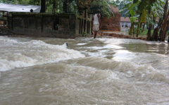 Water level in 20 rivers rises, 91 falls: FFWC
