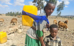 Climate Crisis Deepens in Ethiopia as Windstorm Devastates Afdera Town
