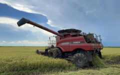Vietnamese rice grower helps tackle Cuba’s food shortage