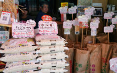 Rice prices up 91 pct year-on-year in Japan