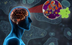 India health alert after ‘brain-eating’ amoeba rise
