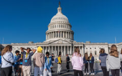 US judge temporarily halts shutdown layoffs of federal workers