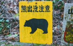 Japan vows tougher measures after record bear attack deaths