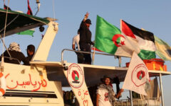 Govt closely monitoring status, safety of participants in flotilla for Gaza: CA 