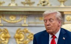 In US tariff talks, Brazil’s rare earths a ‘trump card’