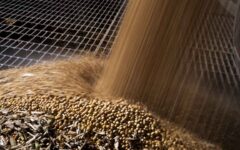 US soybean farmers battered by trade row with China