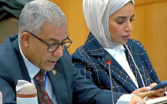 UNGA adopts resolution seeking return of Rohingyas to Myanmar