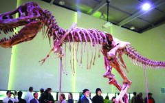 France to return smuggled dinosaur skeleton to Mongolia