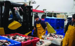 EU, UK reach $2.5-bn fishing deal for 2026