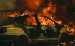 Chile declares emergency as wildfires kill at least 19