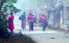 Mild cold wave continues in the north, relief likely during daytime